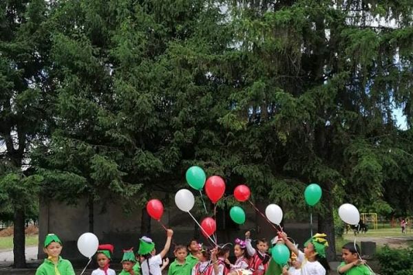 193602686-4141045955934660-5160618770299715419-nEBA0CFE2-AA30-5791-0128-AAA629121C07.jpg
